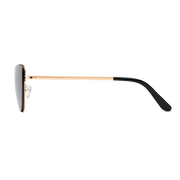 Lynx Steel Black