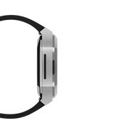 Switch Silver