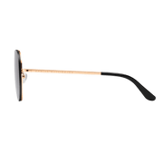 Avion Steel