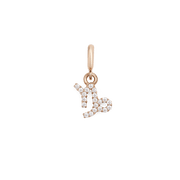 Zodiac Watch Charm Rose Gold