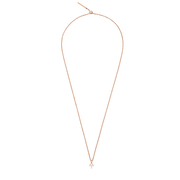 Crystal Zodiac Charm Rose Gold