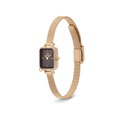 Quadro Mini Crystal Zodiac Evergold