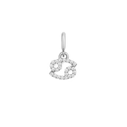 Zodiac Watch Charm Silver