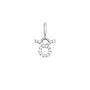 Zodiac Watch Charm Silver