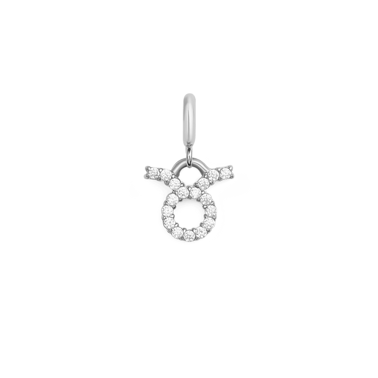 Zodiac Watch Charm Silver