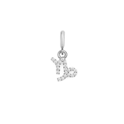 Zodiac Watch Charm Silver