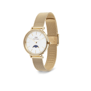 Petite Lune Evergold