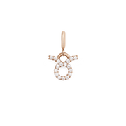 Zodiac Watch Charm Rose Gold