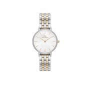Petite Lumine Bezel 5-Link Two-Tone MOP