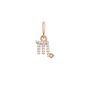 Zodiac Watch Charm Rose Gold