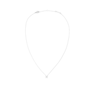 Crystal Zodiac Chain Necklace Silver