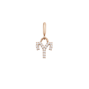 Zodiac Watch Charm Rose Gold